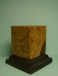 DSC05481.JPG