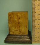 DSC05483.JPG