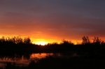 IMG_6019.JPG