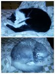20160320_003525-COLLAGE.jpg