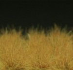 GL018_enl.jpg