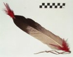 Hair ornament, Pikuni Blackfeet (Piegan). Alberta Canada.jpg