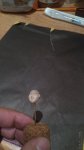 IMG_20170516_210203.jpg
