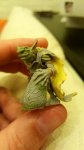 20170530_023944.jpg