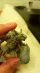 20170530_023924.jpg