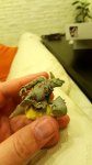 20170530_023819.jpg