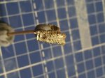IMG_7020.JPG