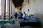 IMG_0003.JPG