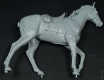 DSC09325.JPG