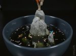 DSC00307.JPG