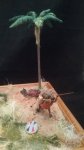 IMG_20170427_210653.jpg