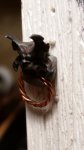 20170519_013029.jpg