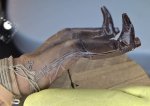 RHNAP_man_161_(cracks_01).jpg