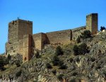 desarrollo-tenflowers_destacado_jaen.jpg