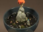 DSC01344.jpg