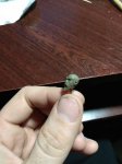 IMG_20180205_204815.jpg