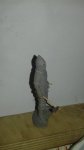 20170830_072942.jpg