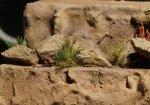 DSC08510.JPG
