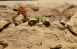 DSC08511.JPG