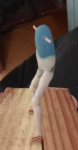 IMG_20180312_160119.jpg