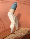 IMG_20180312_154628.jpg