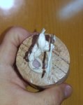 20180406_215254.jpg
