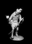 TR54-113-Medieval  Jester2 (9).JPG
