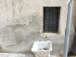 IMG_1140.JPG