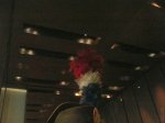 regiment_dromadaire_trompette_1800_coiffure_plumet.jpg