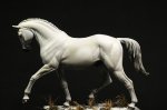 TR74-116 Hanoverian Horse (4).jpg