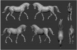 TR74-116 Hanoverian Horse (2).jpg