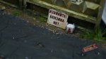 DSC01852.JPG