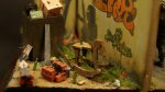 DSC01867.JPG