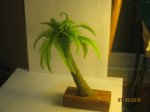 IMG_9260.JPG