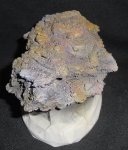 DSC04239.JPG