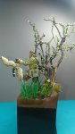 IMG-20180909-WA0007.jpg