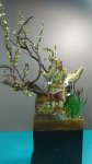 IMG-20180909-WA0008.jpg