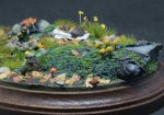 DSC02302.JPG