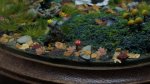 DSC02304.JPG