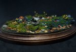 DSC02308.JPG