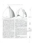 Шлемы из Новороссийска и Туапсе.jpg