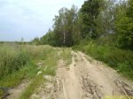проселочная-дорога.jpg