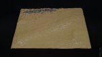 DSC08526.JPG