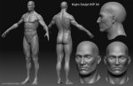 Фигура и голова-1.jpg
