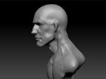 male-bust-cossack3.jpg