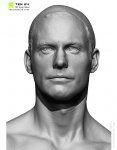 Male05_Head_Scan_06-794x815.jpg