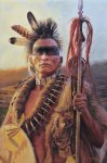 Pawnee Warrior,  by David Yorke.jpg