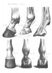 a5ef17816f45.jpg