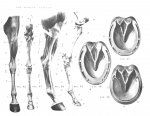 9b818eebaad5.jpg