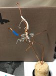 IMG-20181204-WA0007.jpg